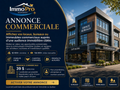 Forfait annonce commerciale unique