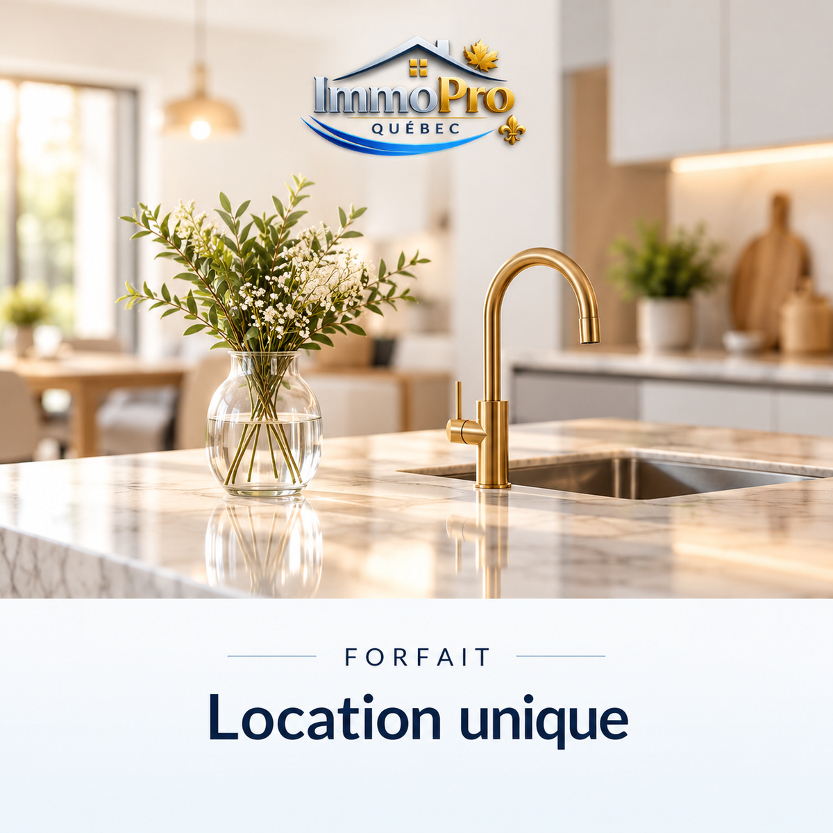 ImmoPro Québec — Forfait location unique